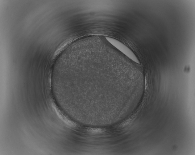 X0000114410349200911131434