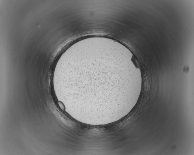 X0000114410350200911131434