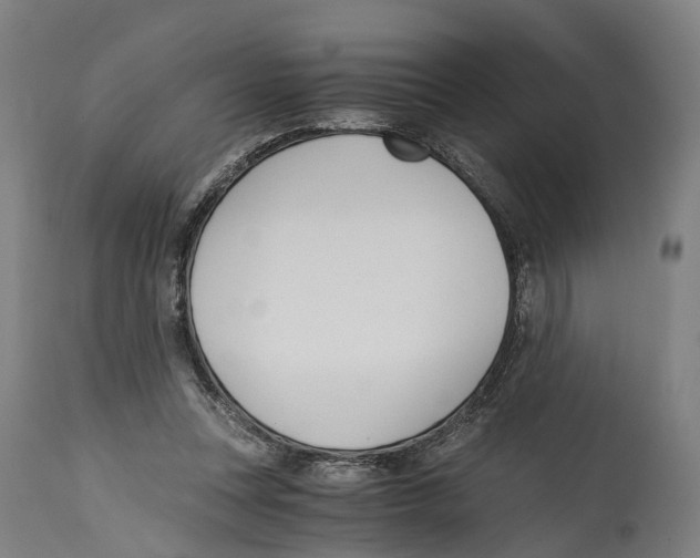 X0000114410351200911131434