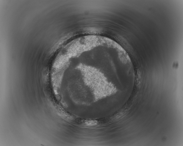 X0000114410355200911131434