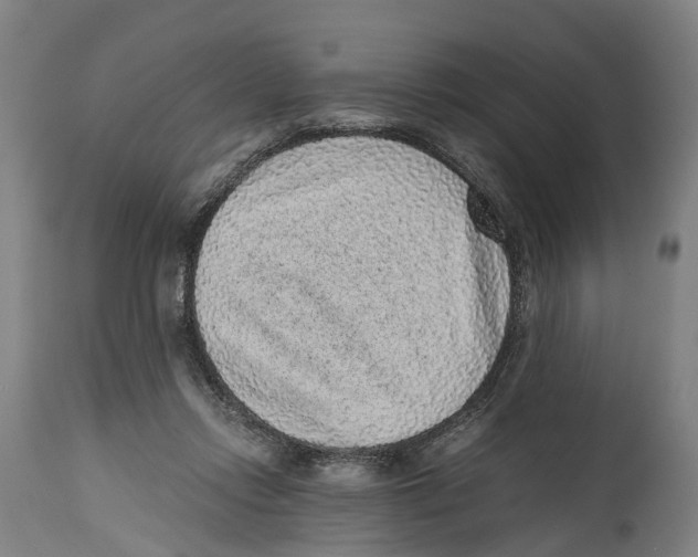 X0000114410358200911131434