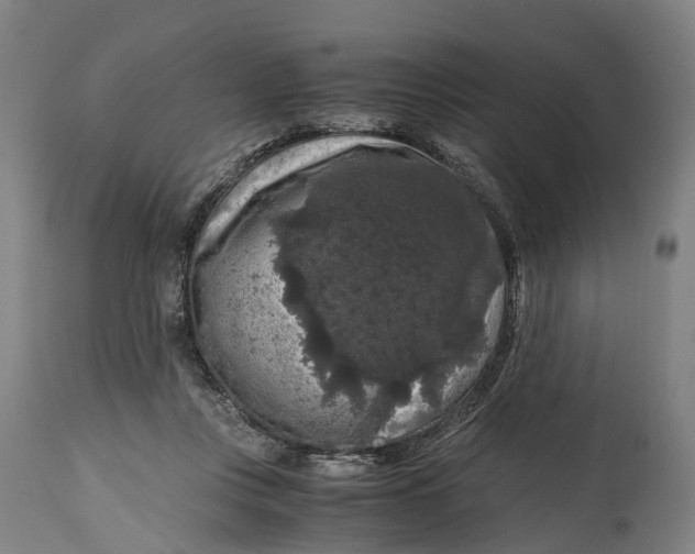 X0000114410359200911131434