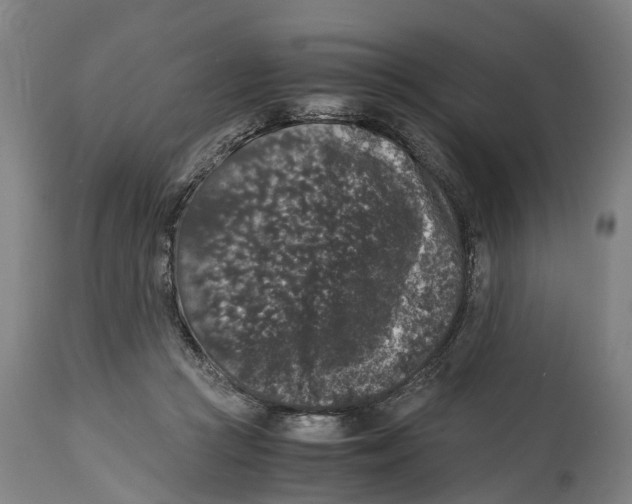 X0000114410361200911131434