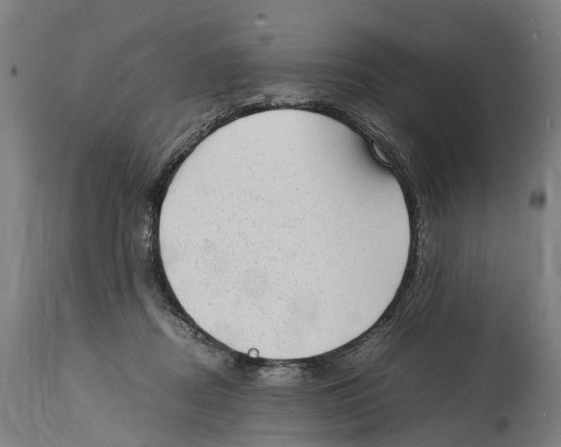 X0000114410362200911131434