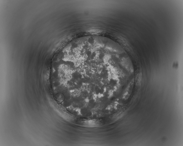 X0000114410365200911131434