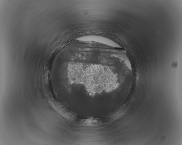 X0000114410366200911131434