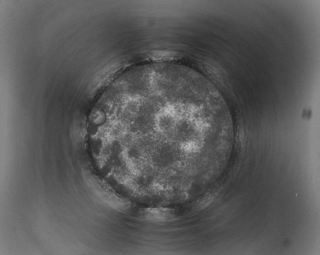 X0000114410367200911131434