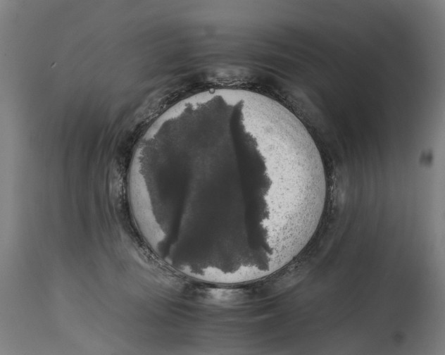 X0000114410371200911131434