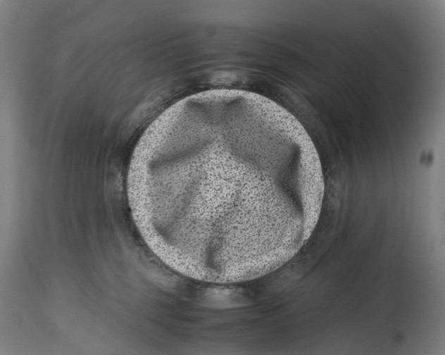 X0000114410375200911131434