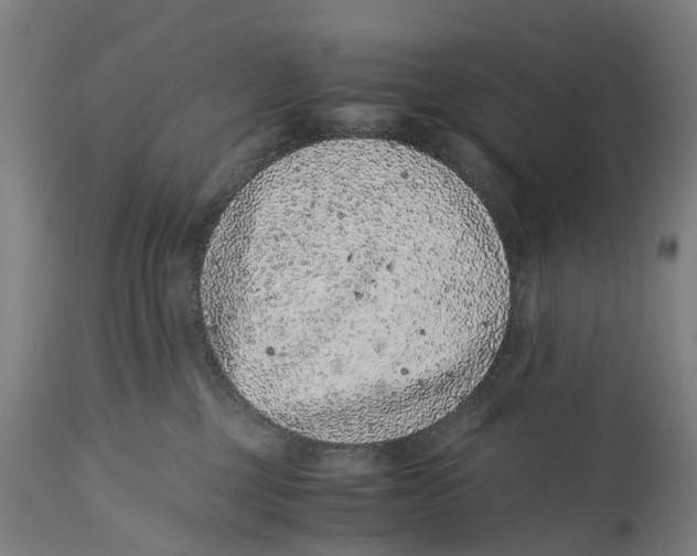 X0000114410377200911131434