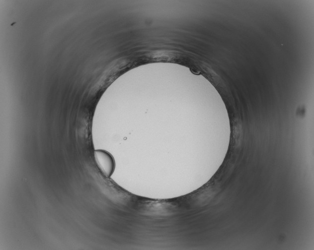 X0000114410379200911131434