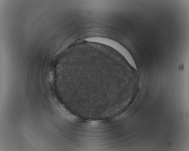 X0000114410382200911131434