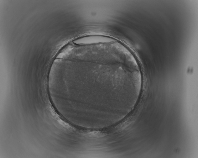 X0000114410385200911131433