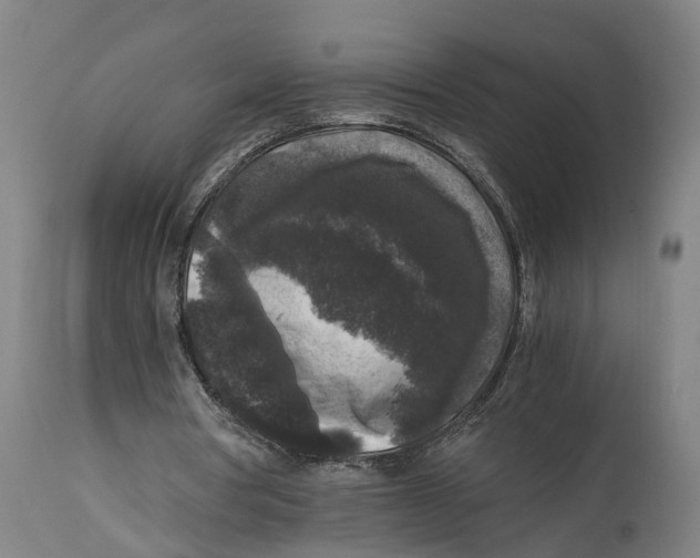 X0000114410386200911131433