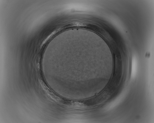 X0000114410387200911131433