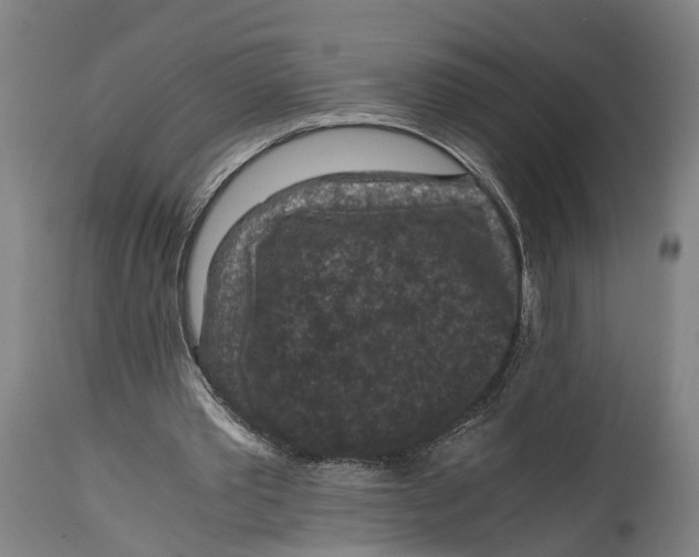 X0000114410389200911131433