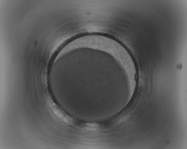 X0000114410391200911131433