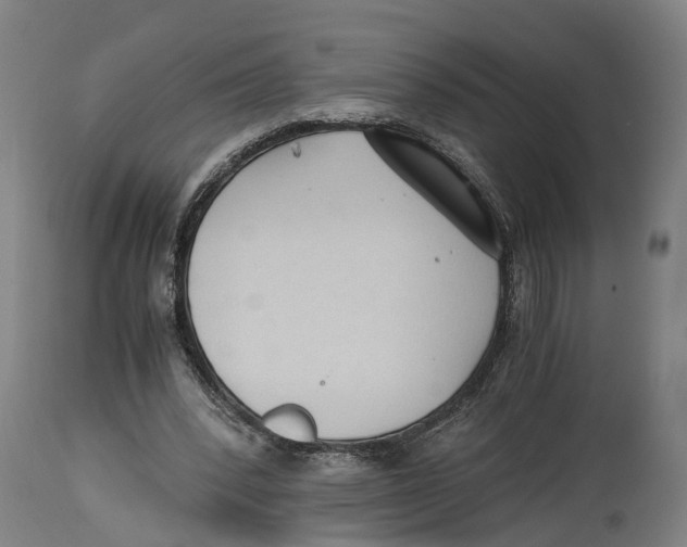 X0000114410392200911131433