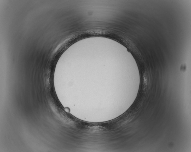 X0000114410396200911131433