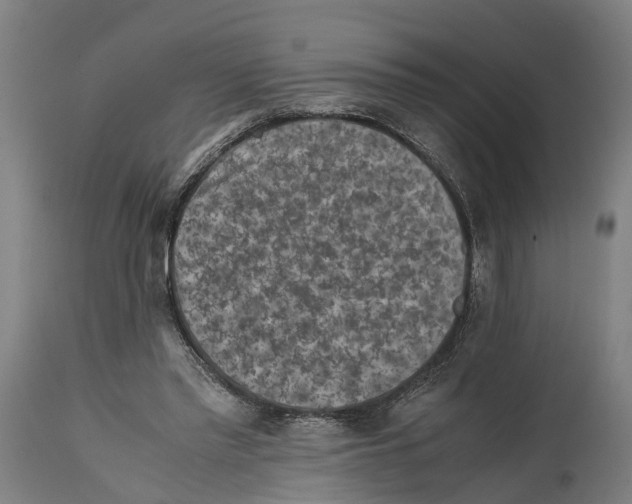 X0000114410397200911131433