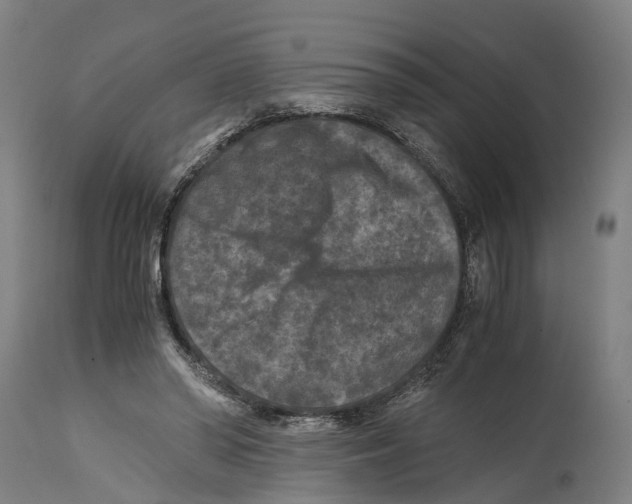 X0000114410398200911131433