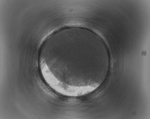 X0000114410399200911131433