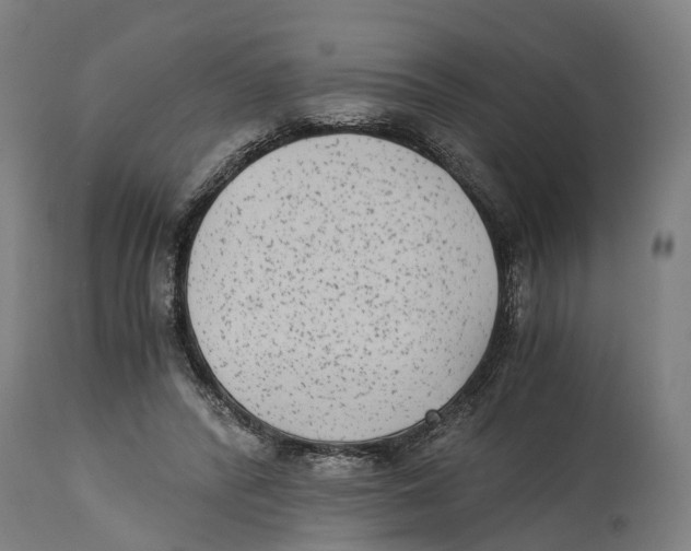 X0000114410400200911131433