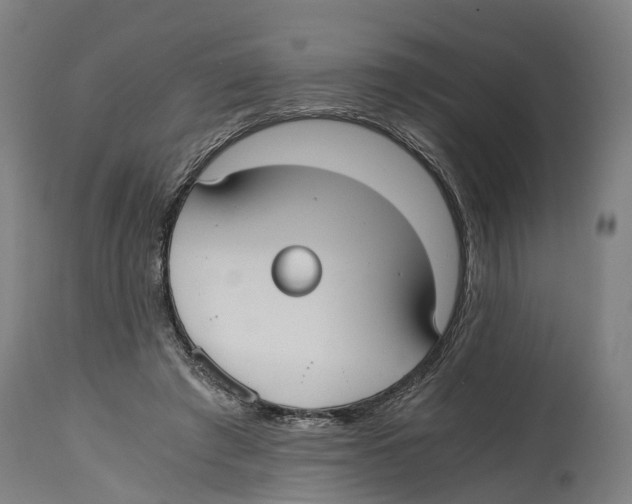 X0000114410401200911131433