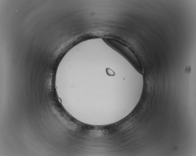 X0000114410404200911131433