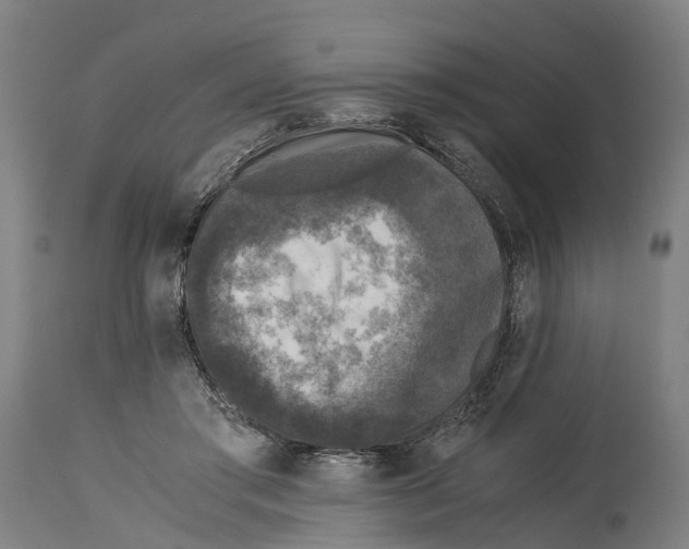 X0000114410405200911131433