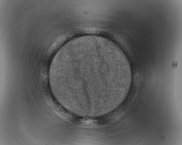 X0000114410407200911131433