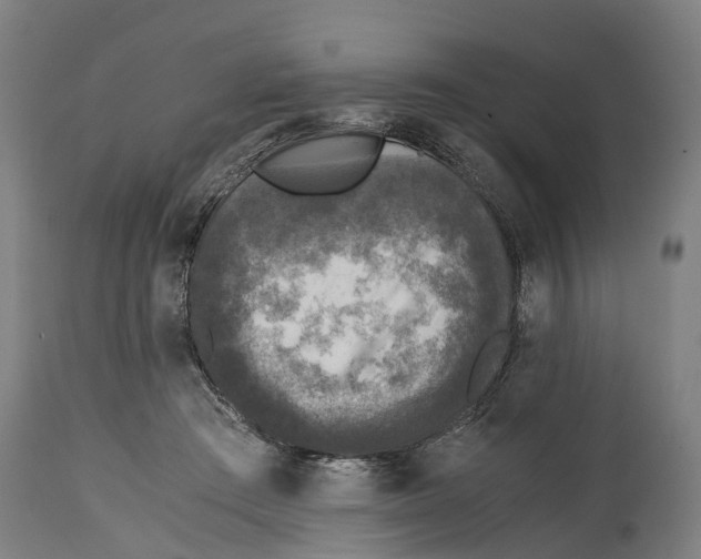 X0000114410409200911131433