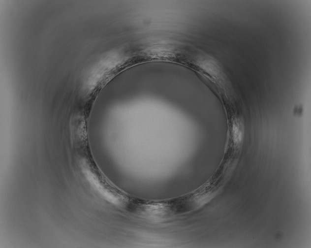 X0000114410411200911131433