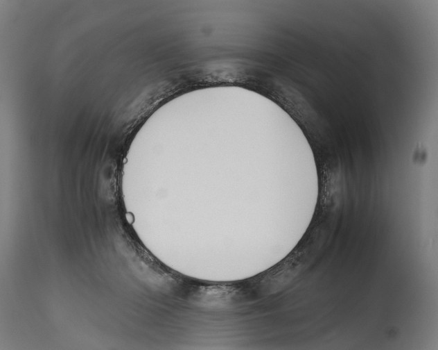 X0000114410414200911131433