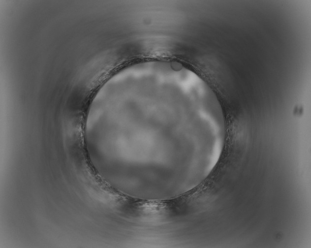 X0000114410415200911131433