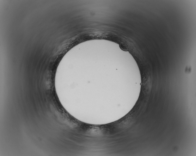 X0000114410416200911131433