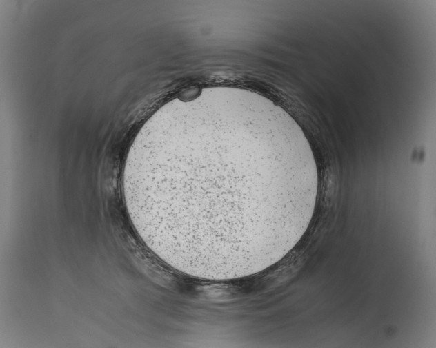 X0000114410417200911131433