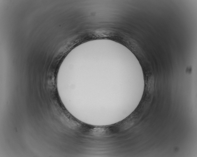 X0000114410418200911131433