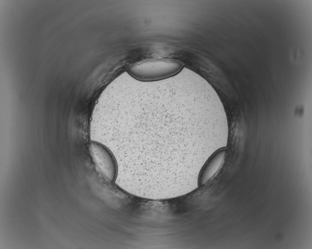 X0000114410421200911131433