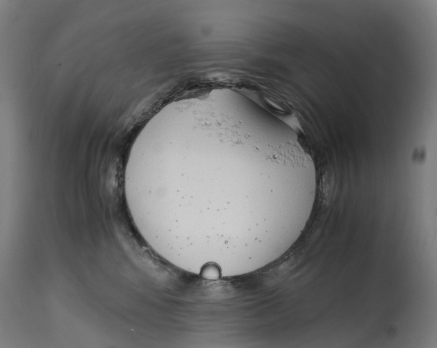 X0000114410424200911131433