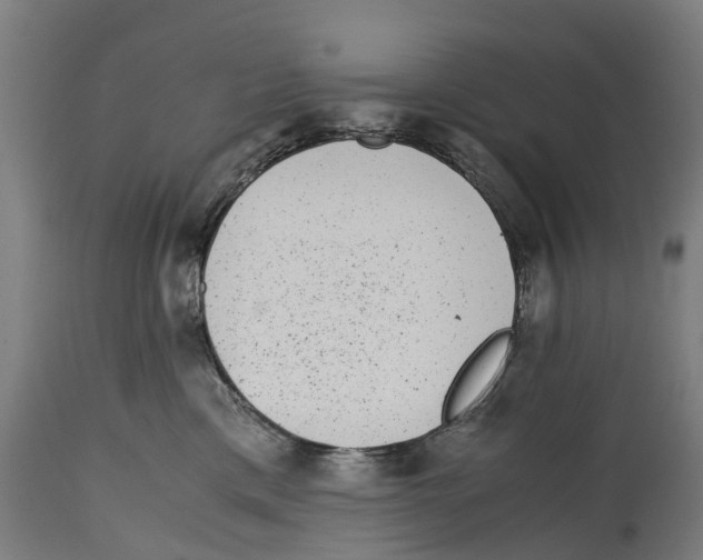 X0000114410425200911131433