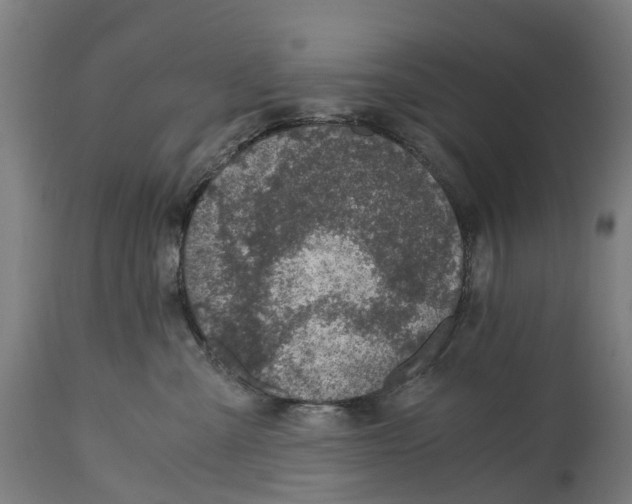 X0000114410427200911131433