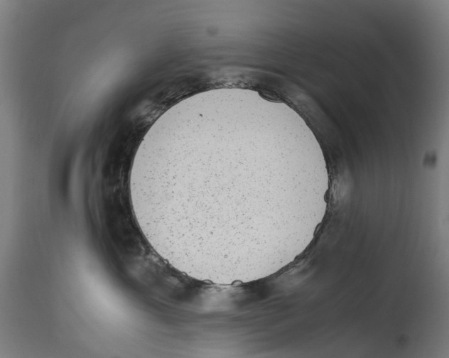 X0000114410429200911131433