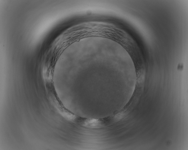 X0000114410431200911131433