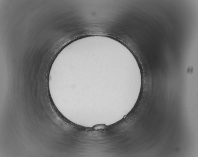 X0000114410433200911131432