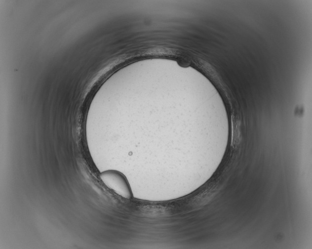 X0000114410435200911131432