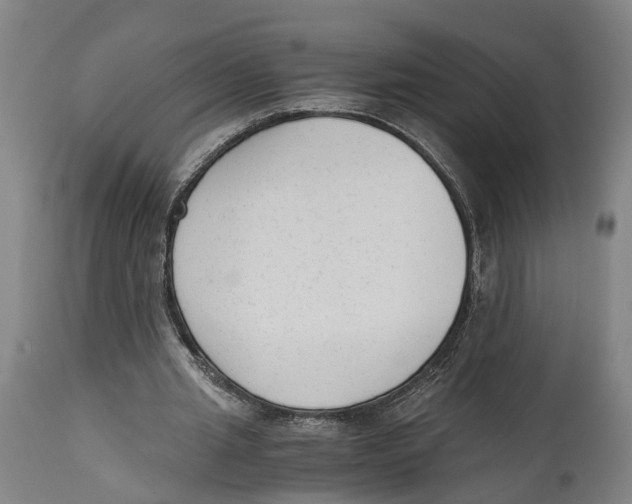 X0000114410437200911131432