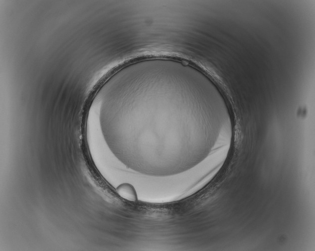 X0000114410438200911131432