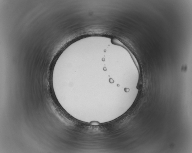 X0000114410439200911131432