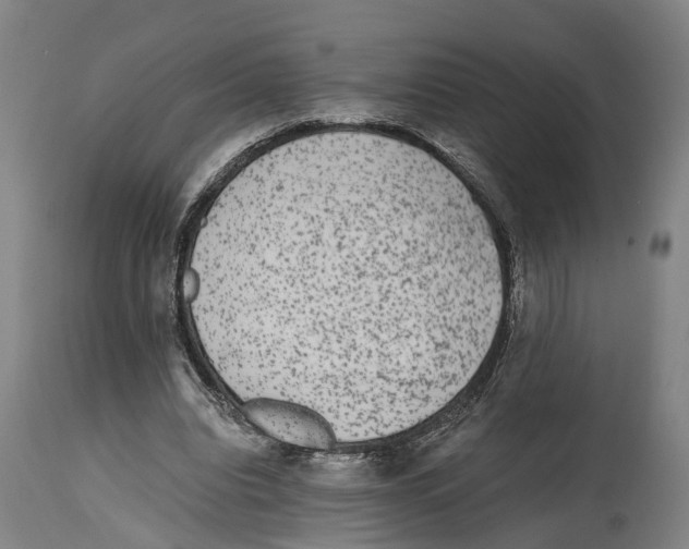 X0000114410440200911131432